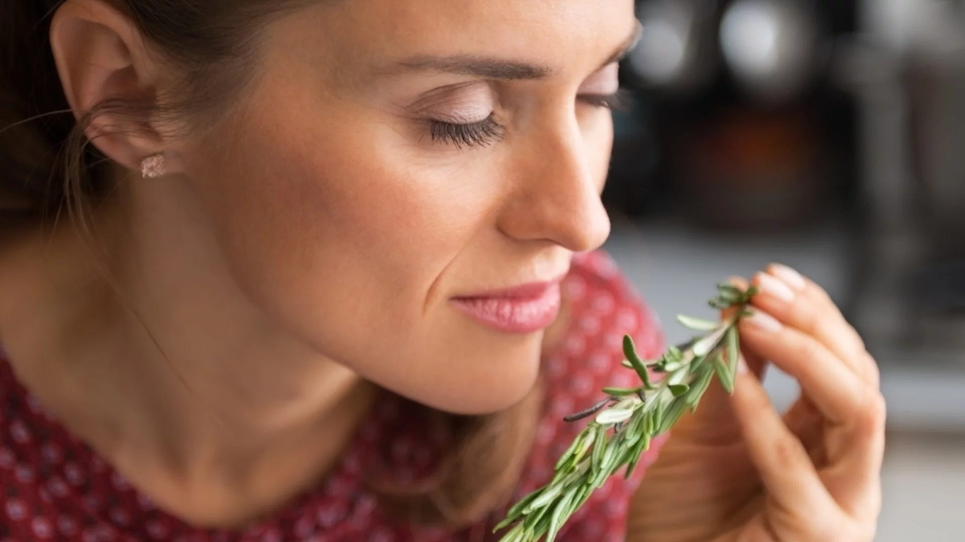 Сложете розмарин до входната врата на дома си и вижте какво ще се случи