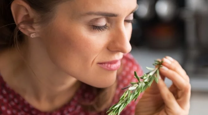 Сложете розмарин до входната врата на дома си и вижте какво ще се случи