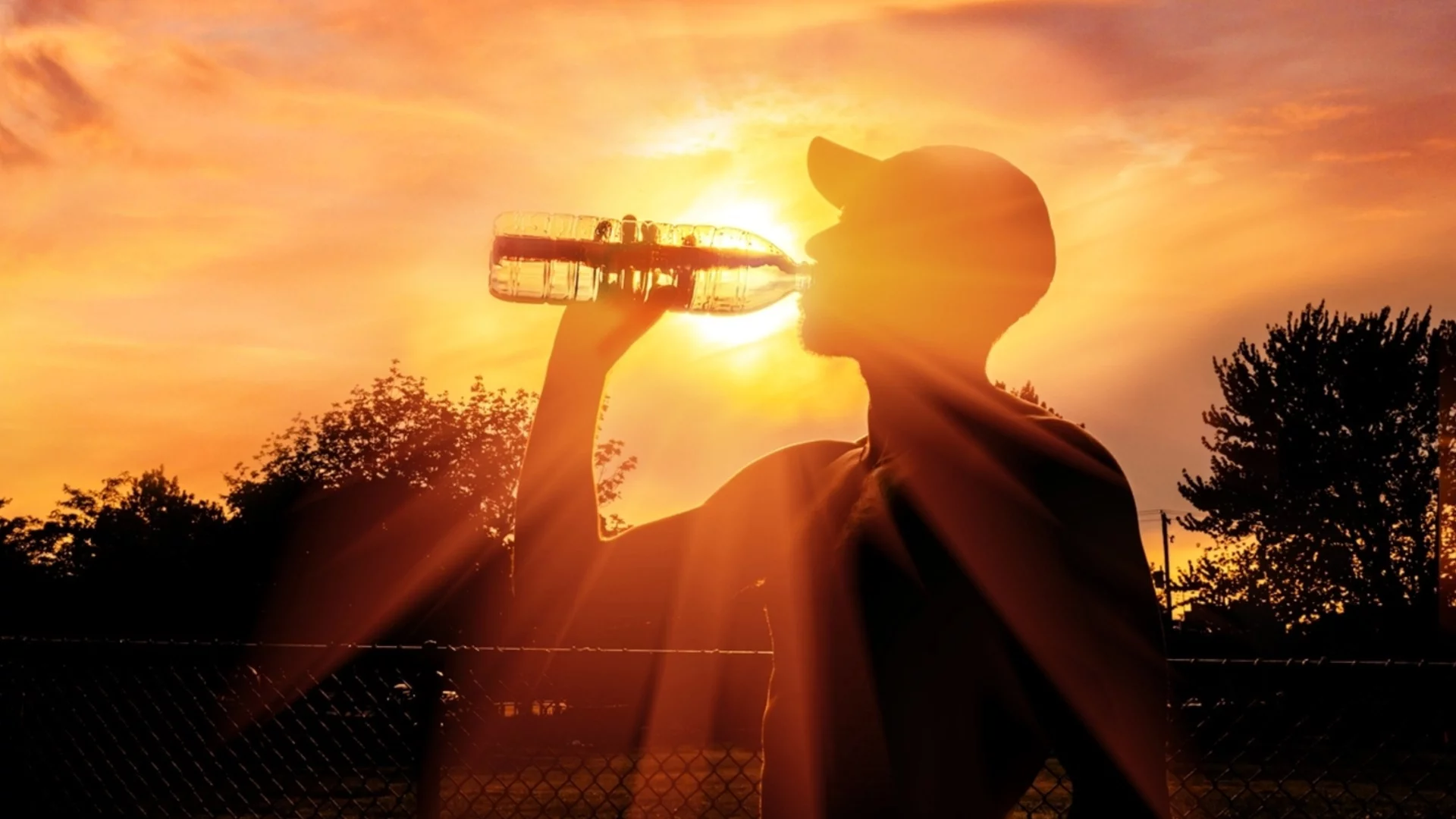 Последните 3 години са най-топлите в историята