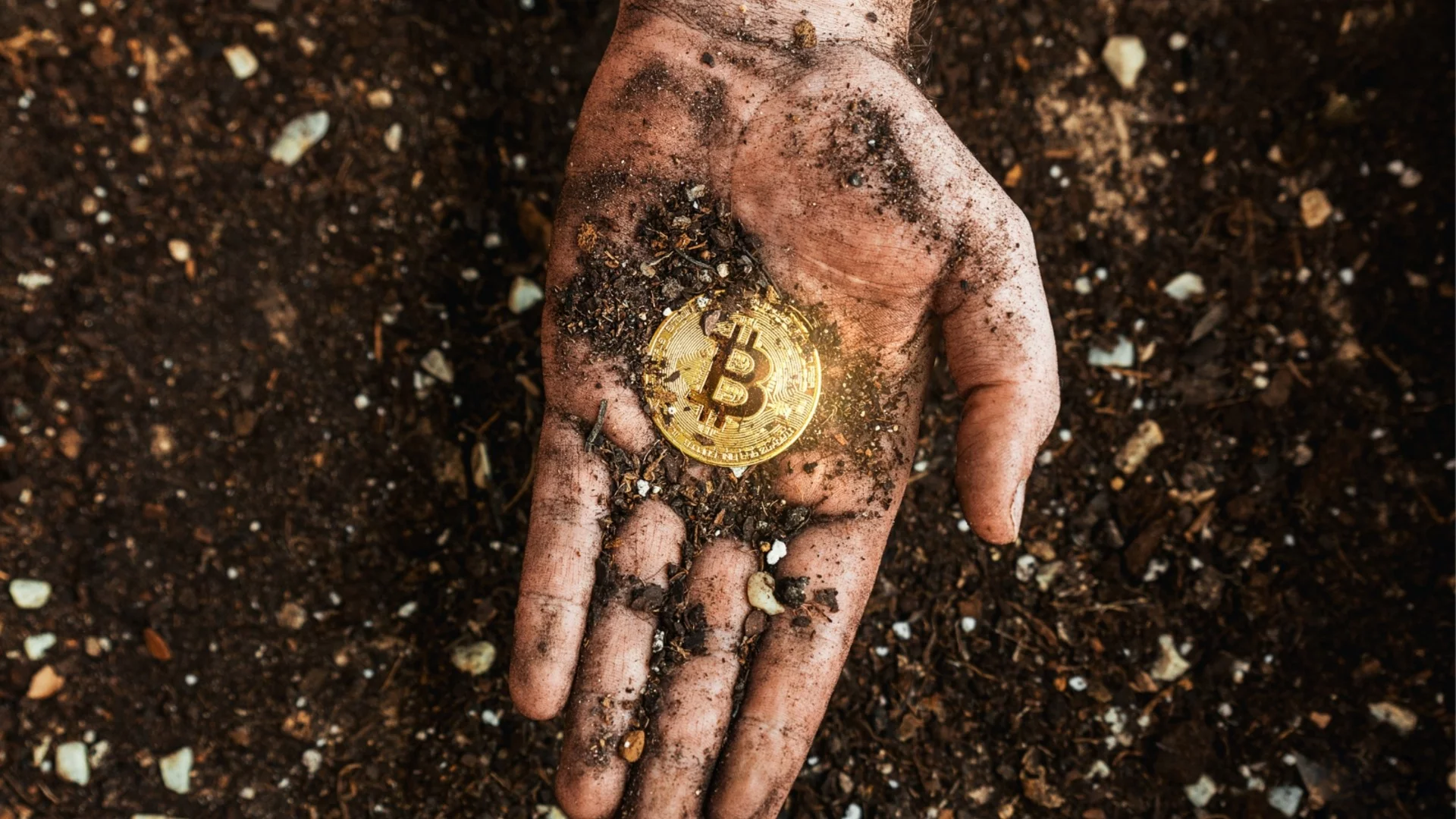 Синът на зам.-кмет на Харков изгорен жив във Виена, криптоакаунтите му - изпразнени