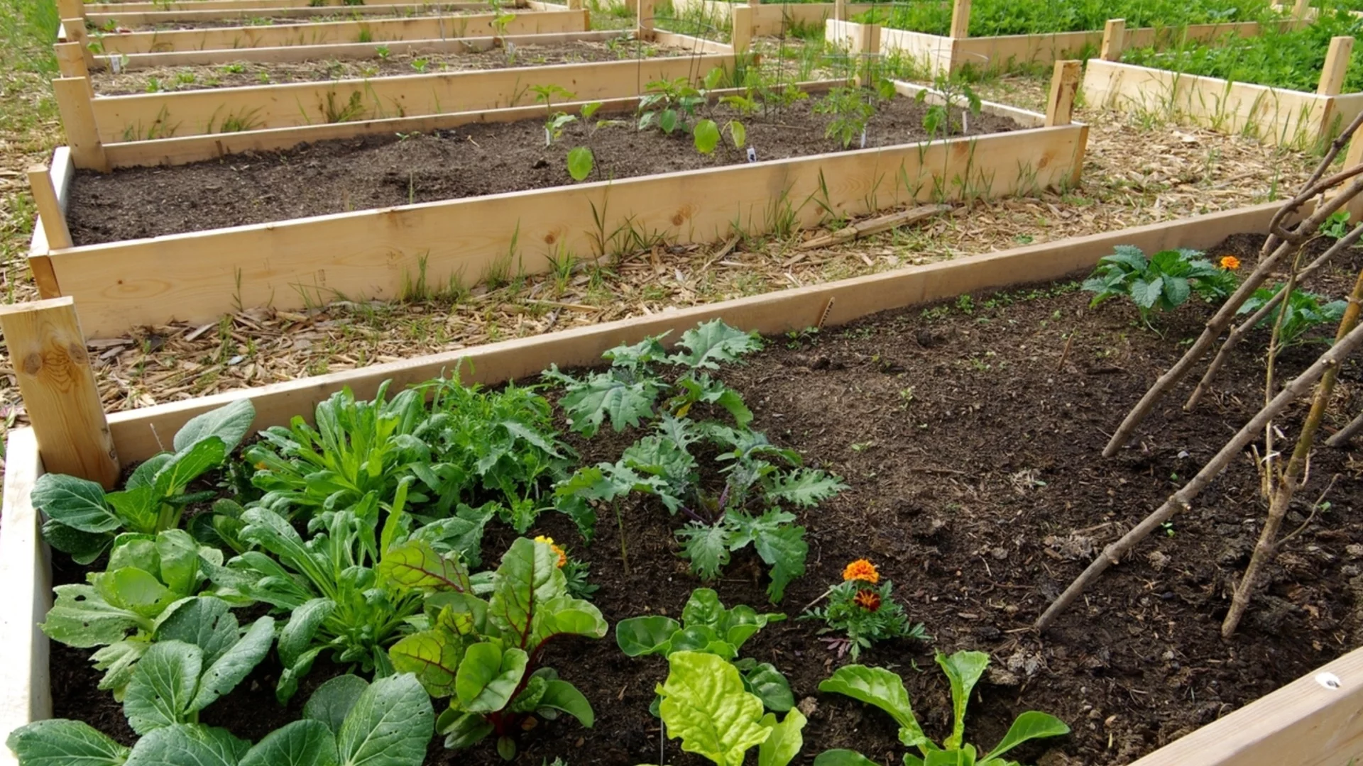 Как да направим топла завивка със стари одеяла върху лехите