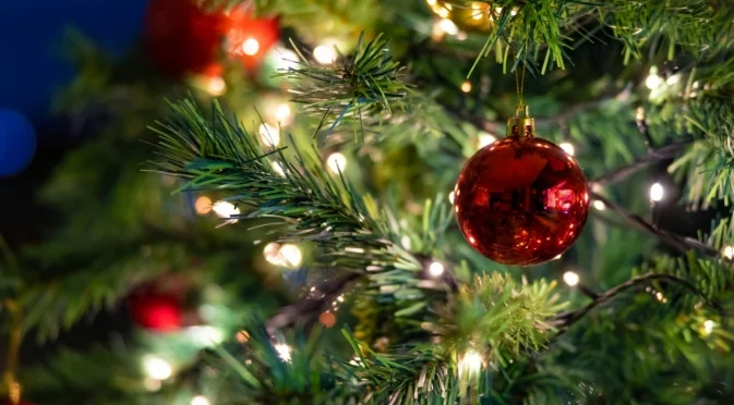 Ето колко харчат българите за коледна елха