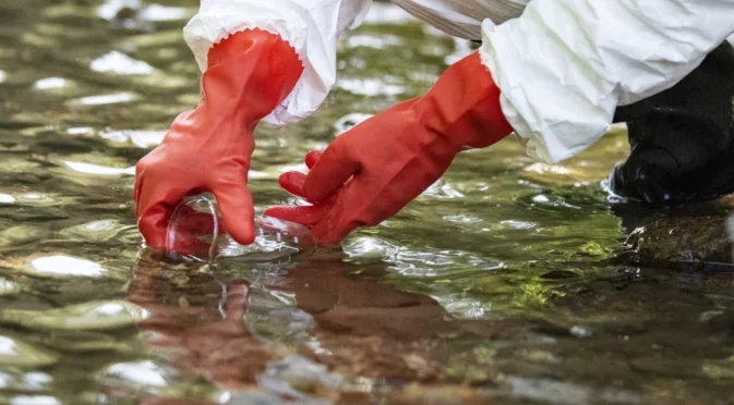 Луганск е пред екологична катастрофа (СНИМКА)