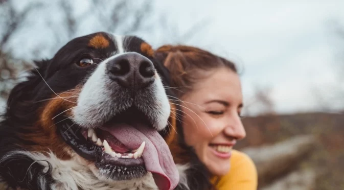 Слънчев или дъждовен петък? Времето утре - 12 декември 2025 г. 