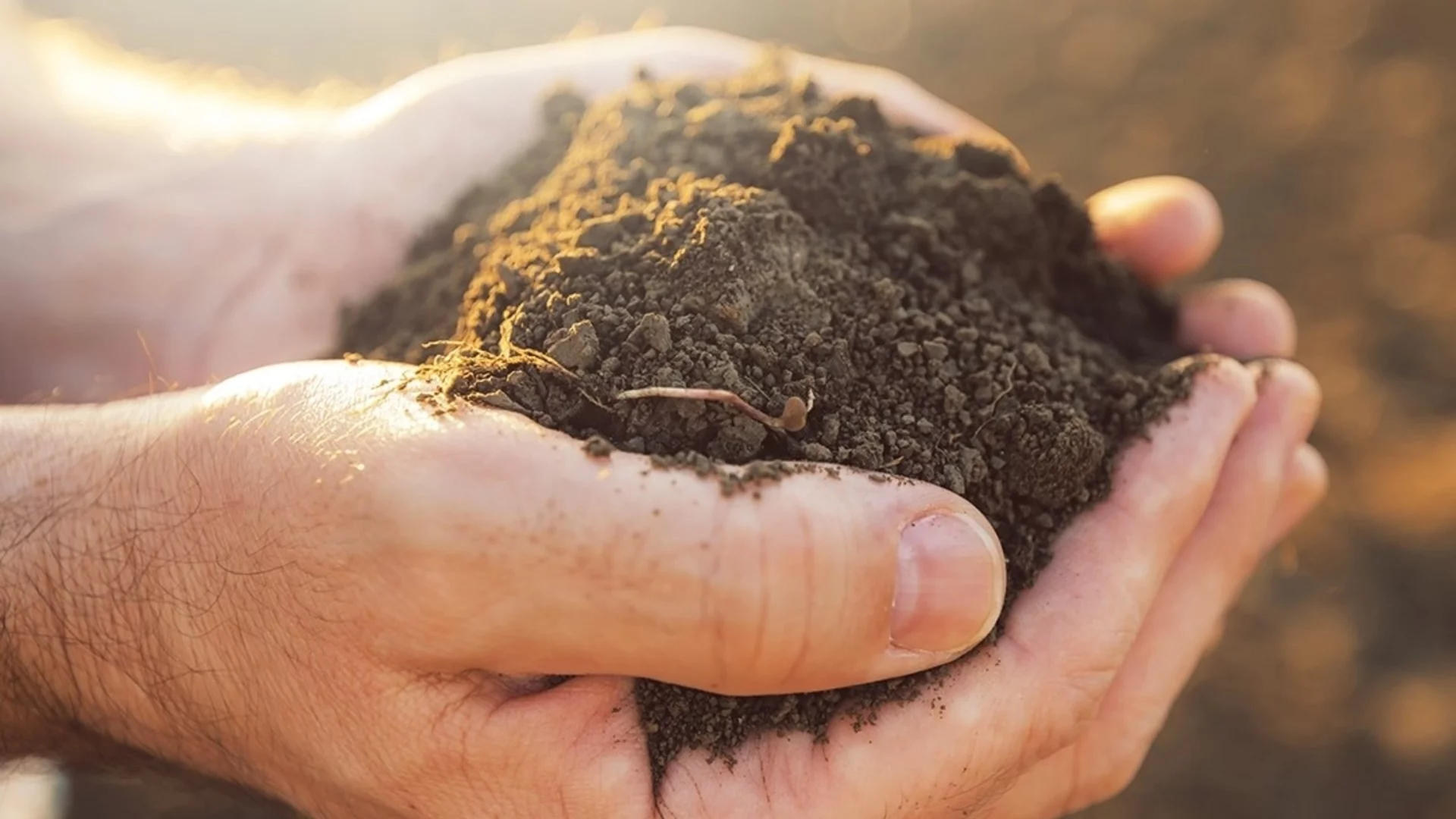 „Агрион" призовава собствениците да не изпускат крайния срок за продажба на земя