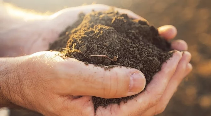 „Агрион" призовава собствениците да не изпускат крайния срок за продажба на земя