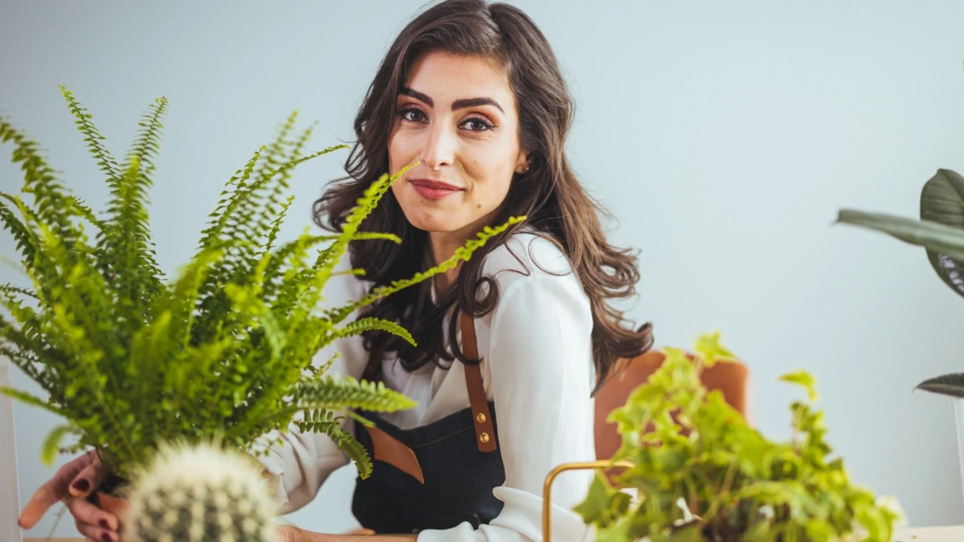 Това растение ще освежи въздуха в целия ви дом