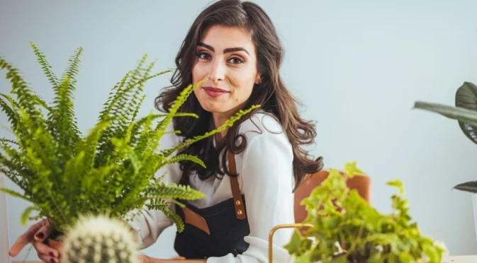 Това растение ще освежи въздуха в целия ви дом