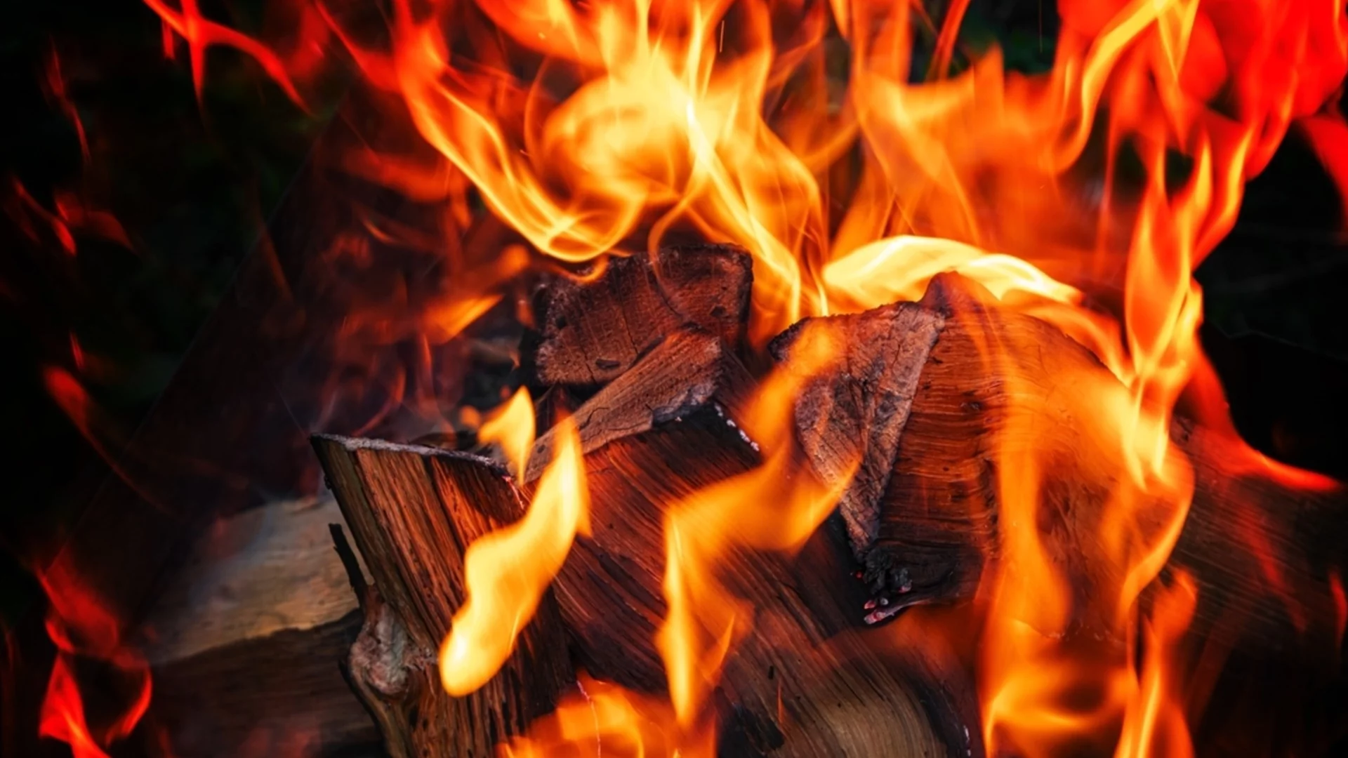 Откриха най-ранните доказателства за използване на огън от хора 