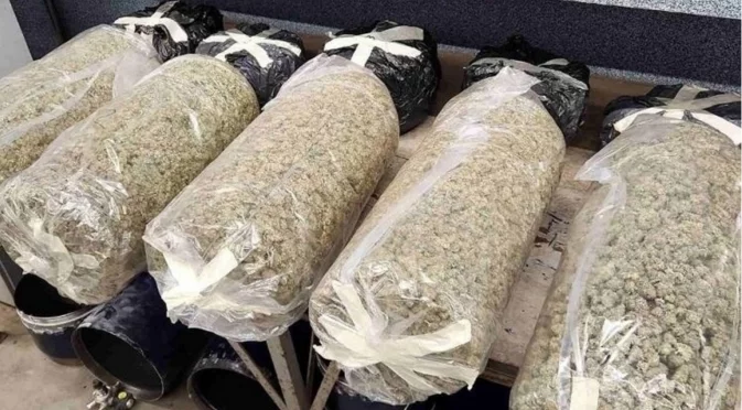 За контрабанда на 70 кг марихуана: Искат задържане под стража на четирима