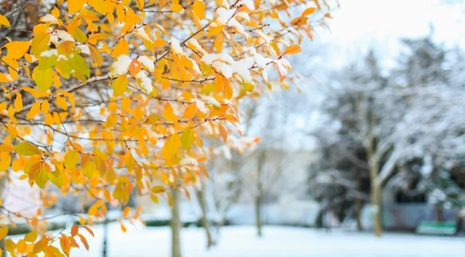 "Слагат и махат снежинките": Проф. Рачев разочарова децата