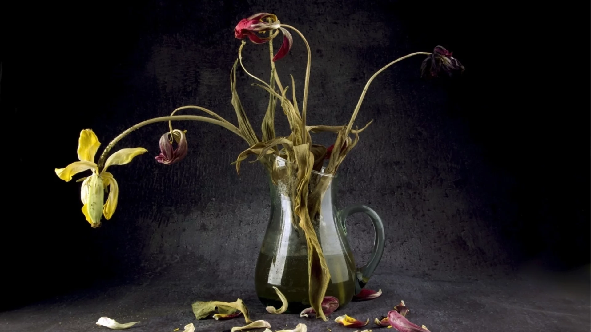 Защо поставянето на отрязани цветя до плодове води до гниене?