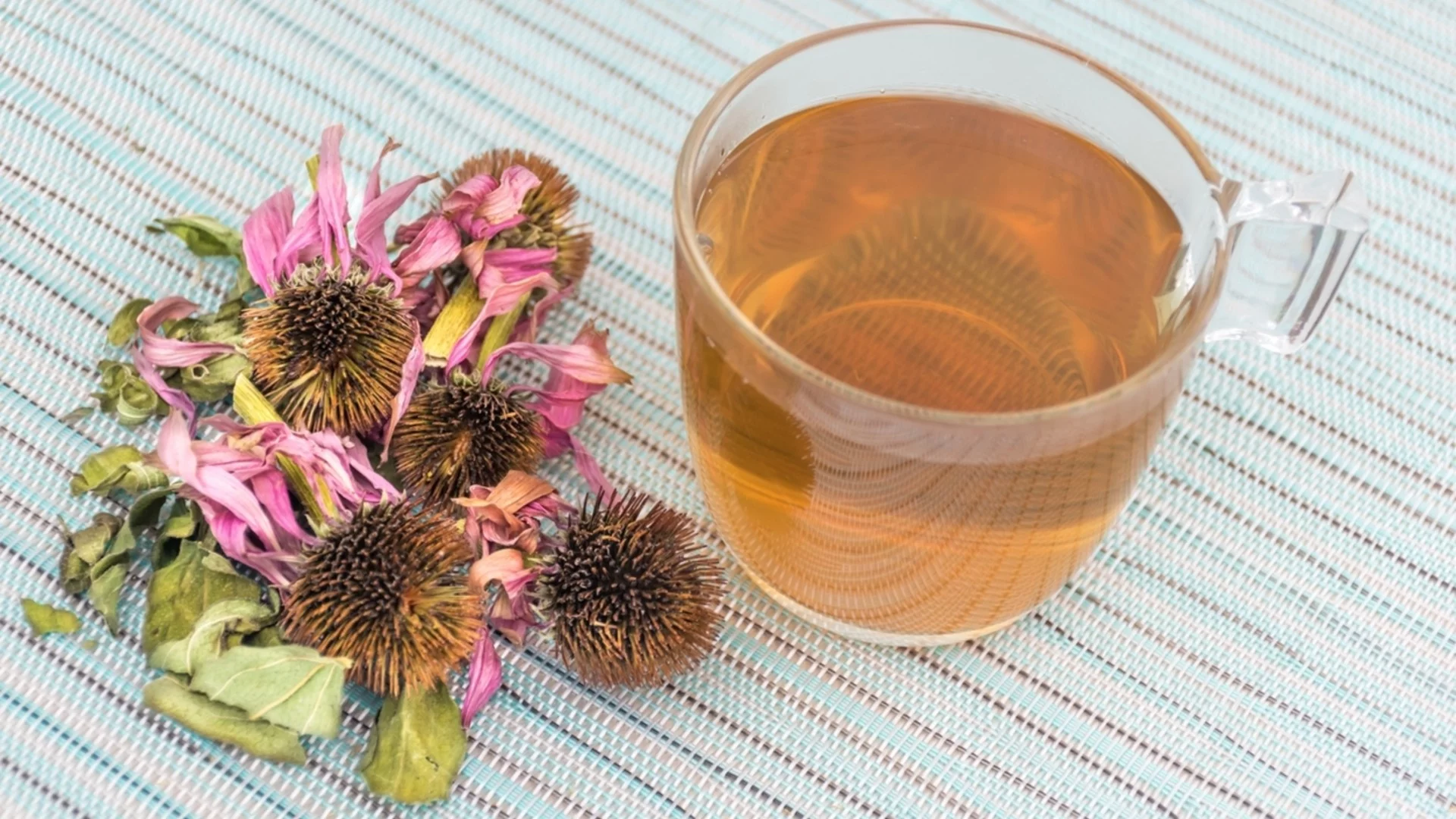 5 ползи от приема на добавки с ехинацея през зимата