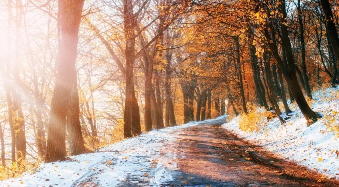 Прогноза за времето - 15 декември 2025 г. (понеделник)