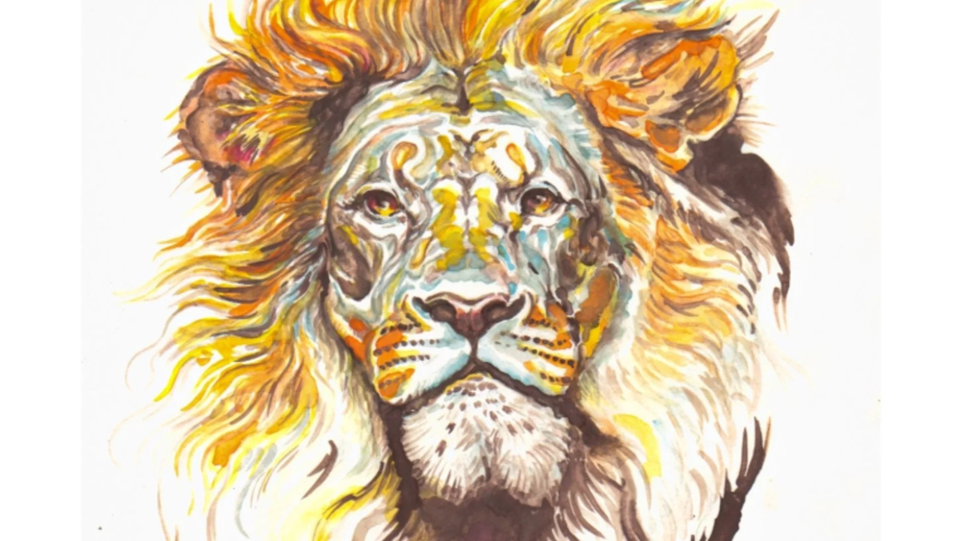 Цветан Узунов – TSE представя изложбата "Живот" в Природонаучния музей в Пловдив