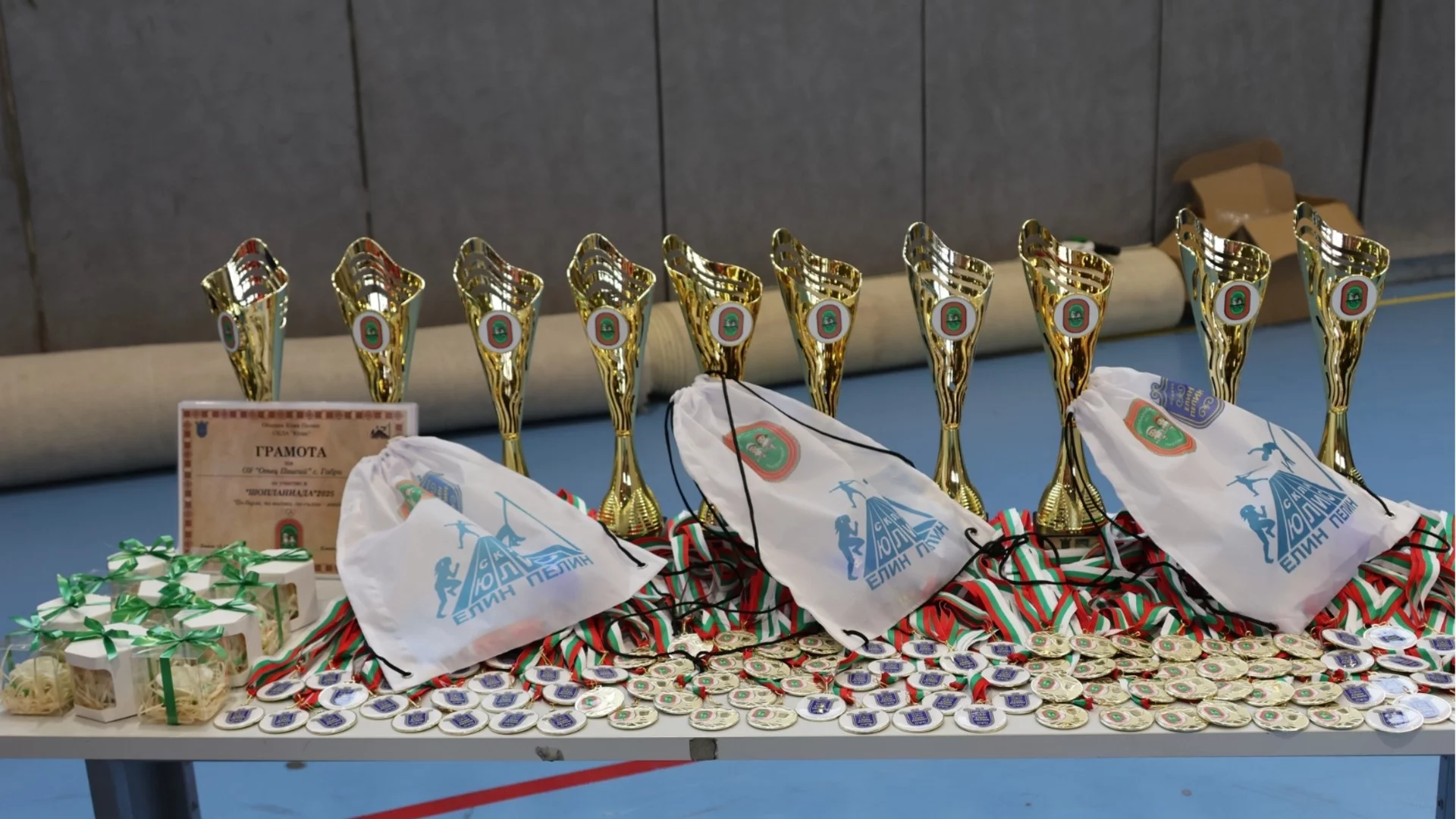 В Елин Пелин се проведе коледен турнир "Шопланиада" 2025