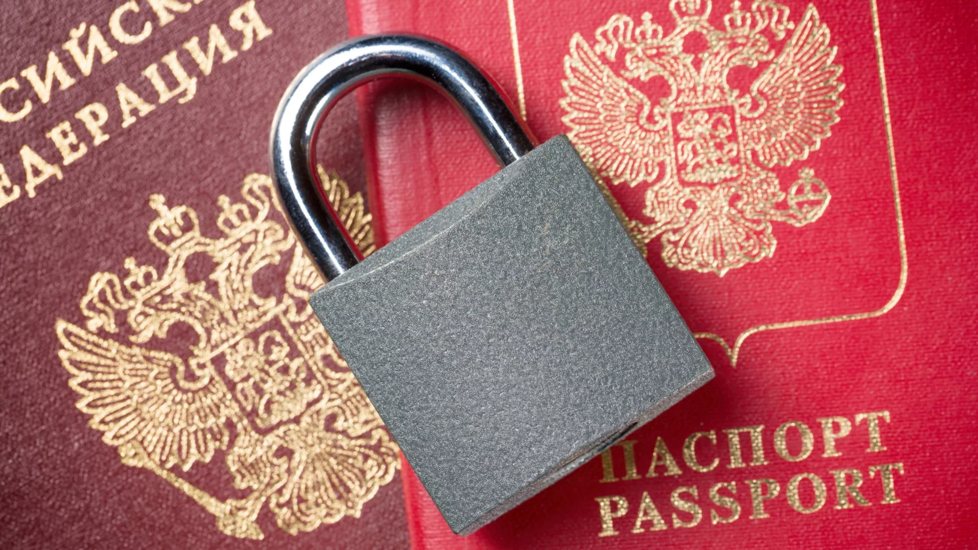 "Русия е нашата сила": Депутат от партията на Путин прати жена си да роди в Чили за паспорт (ВИДЕО)