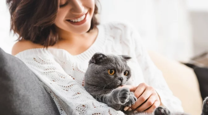 Аспект на деня и фаза на Луната на 17 декември 2025 г. Ден за освобождение