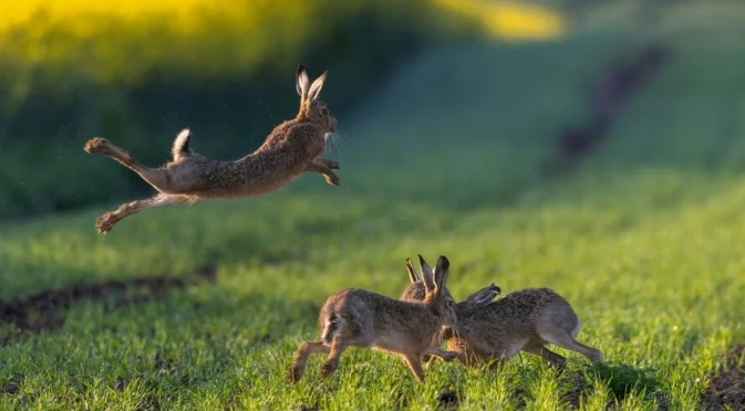 В четвъртък: Парите ще се множат като зайци при Дева, Везни + още 2 зодии
