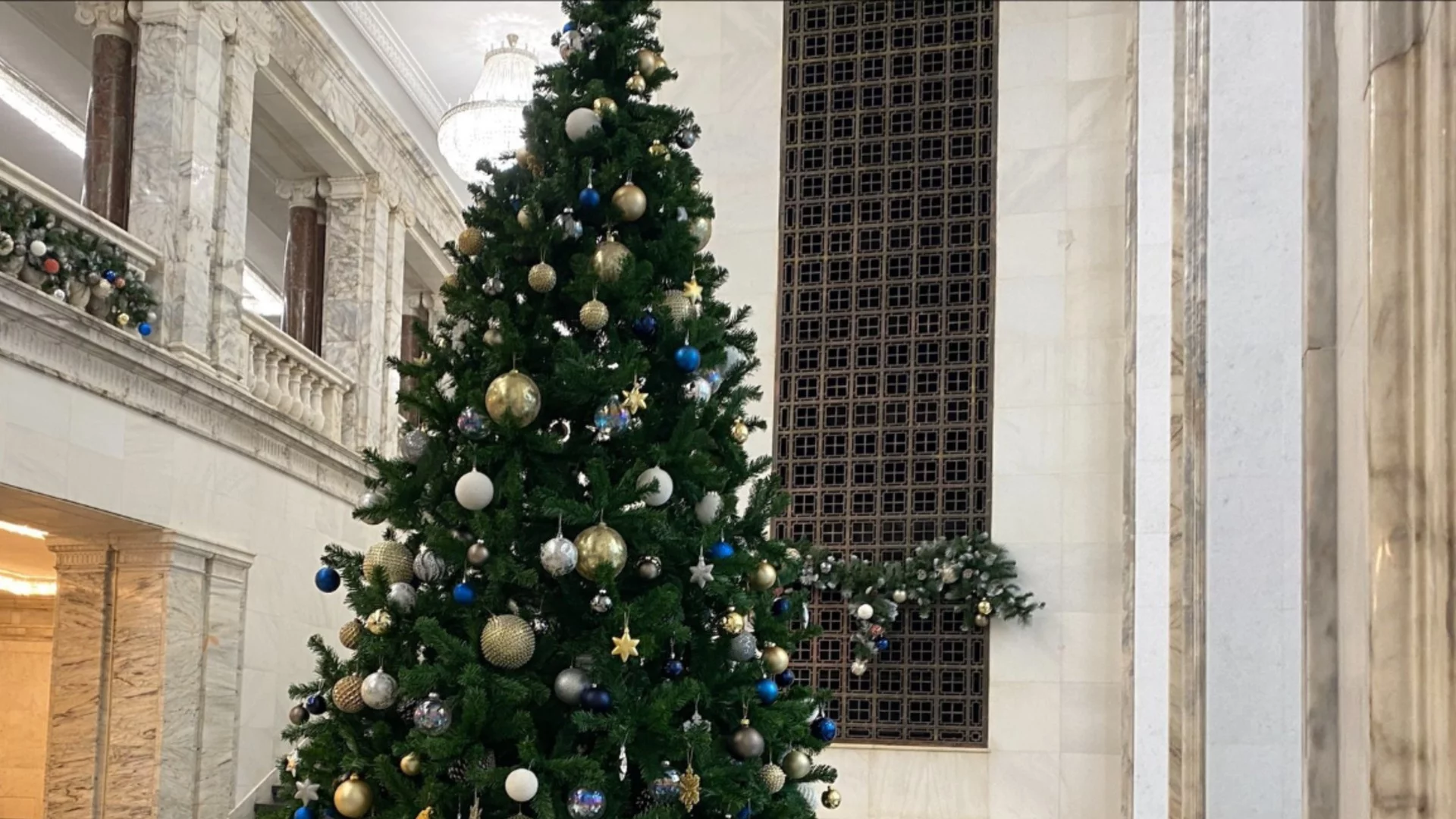 На път за президента: "Възраждане" се подиграха с елхата пред кабинета на Пеевски (СНИМКИ)