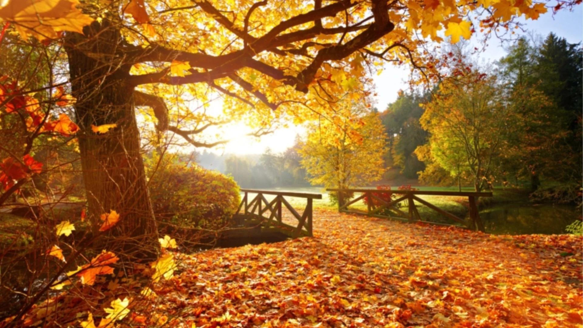 Прогноза за времето - 17 декември 2025 г. (сряда)