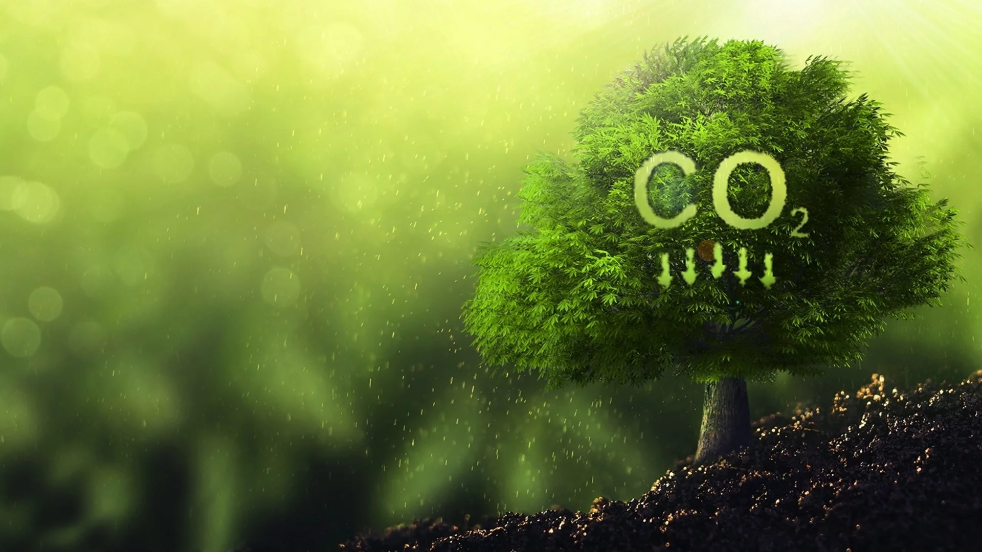 Защо е важно науката да потвърждава климатичните цели на бизнеса?