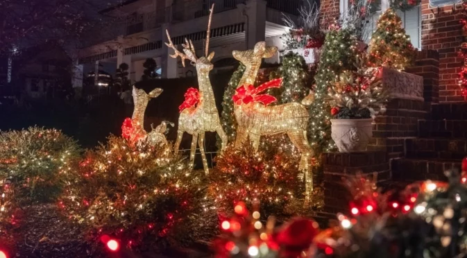 Издръжливи вечнозелени растения за декорация на открито, които ще издържат дълго