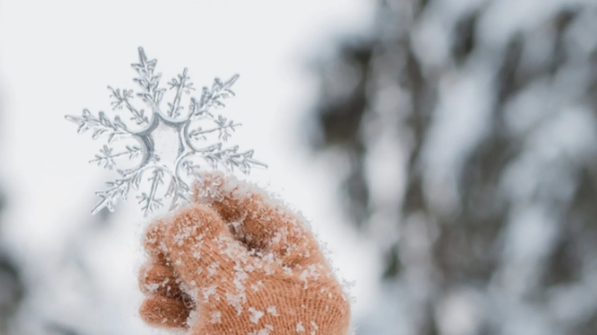 Снежинките като екзотика: Климатичните промени ни отнеха бялата Коледа (ГРАФИКИ)