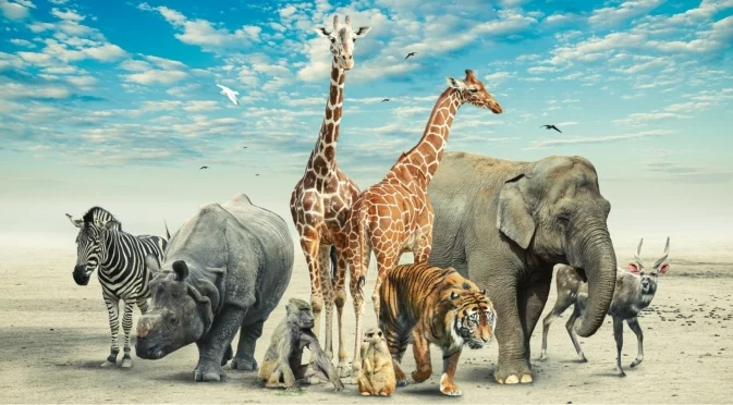 Най-смешните и очарователни кадри от дивия свят за 2025 година (СНИМКИ)