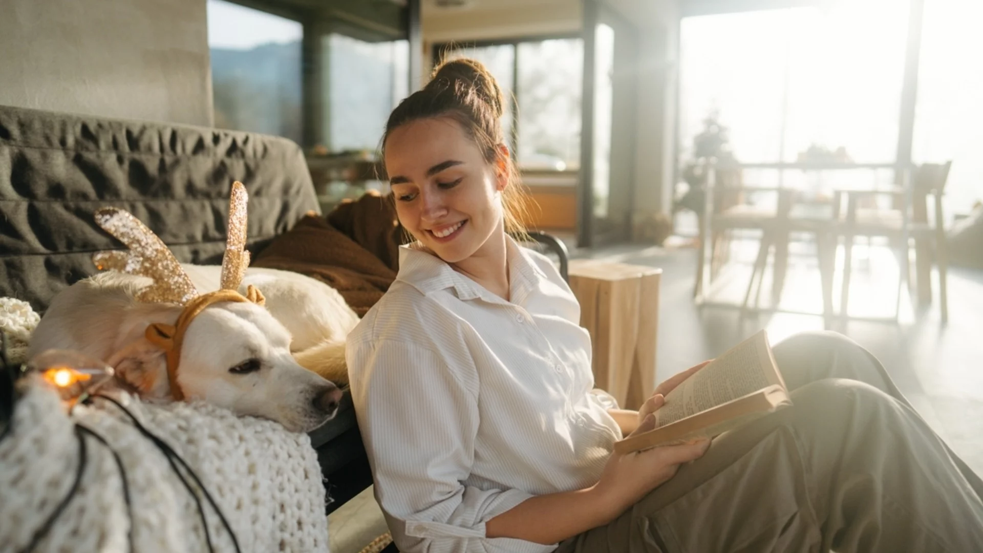 Как да премахнем миризмата на домашни любимци от мека мебел