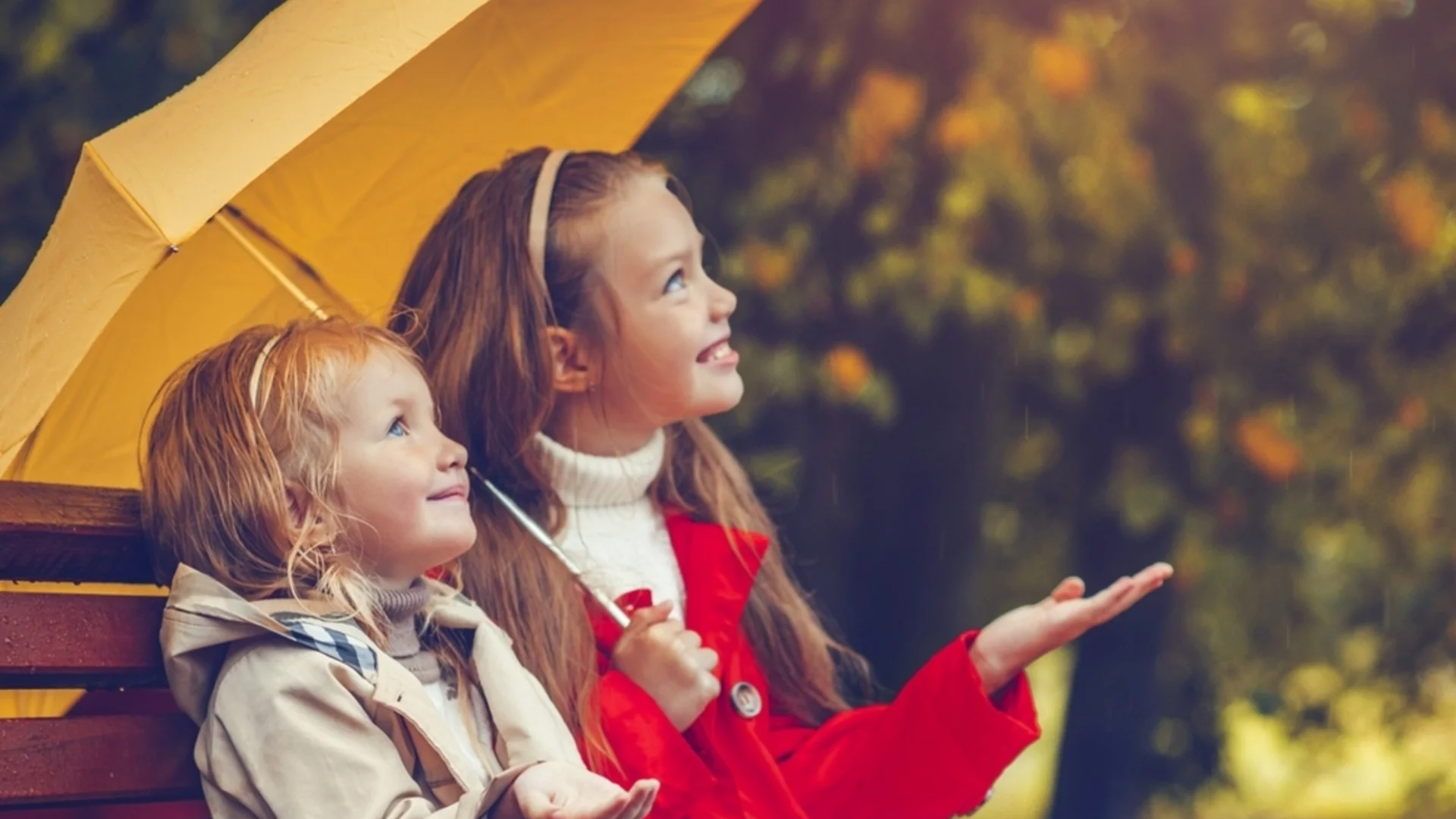 Мирише ли на сняг? Времето утре - 19 декември 2025 г. 