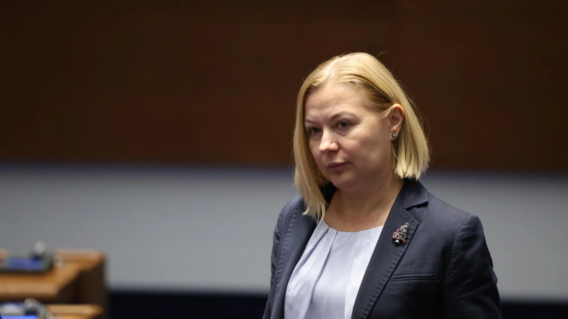 Надежда Йорданова: Възможен е трети, реформаторски вариант за бюджета