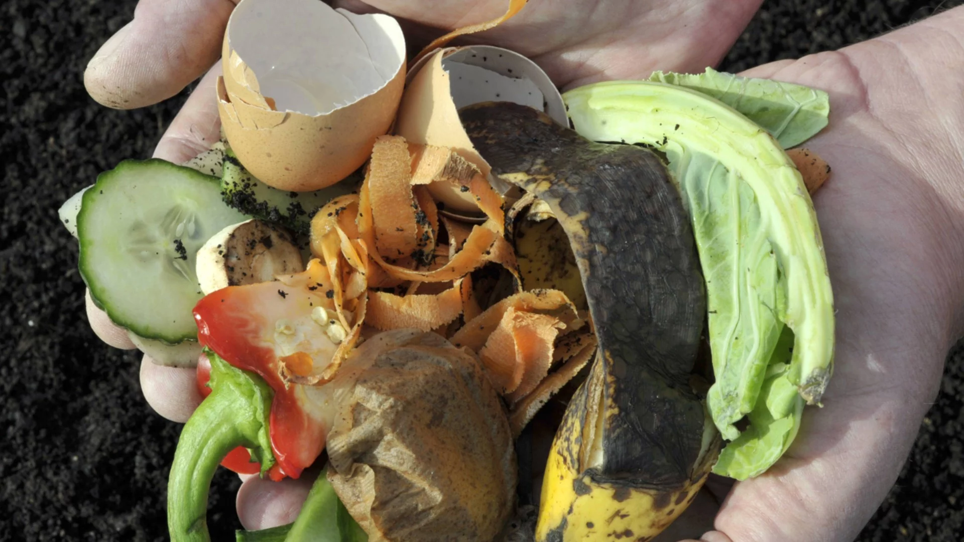 Кухненски отпадъци, с които да наторите градината си