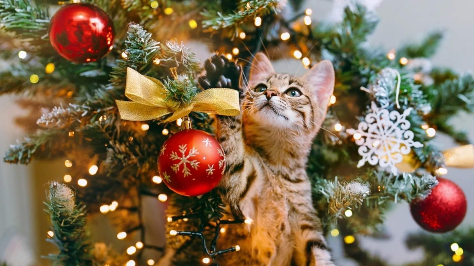 Седмичен хороскоп за 22-28 декември 2025 г. 