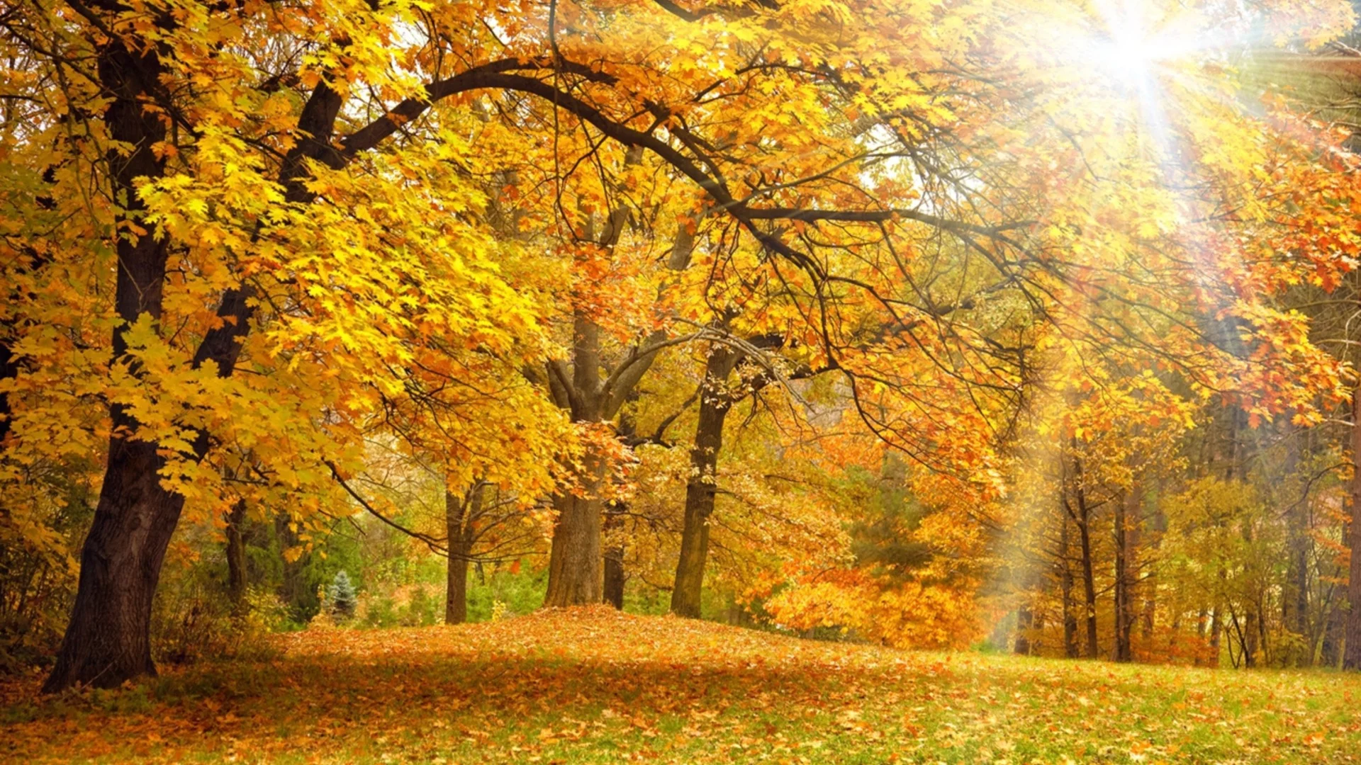 Прогноза за времето - 19 декември 2025 г. (петък)