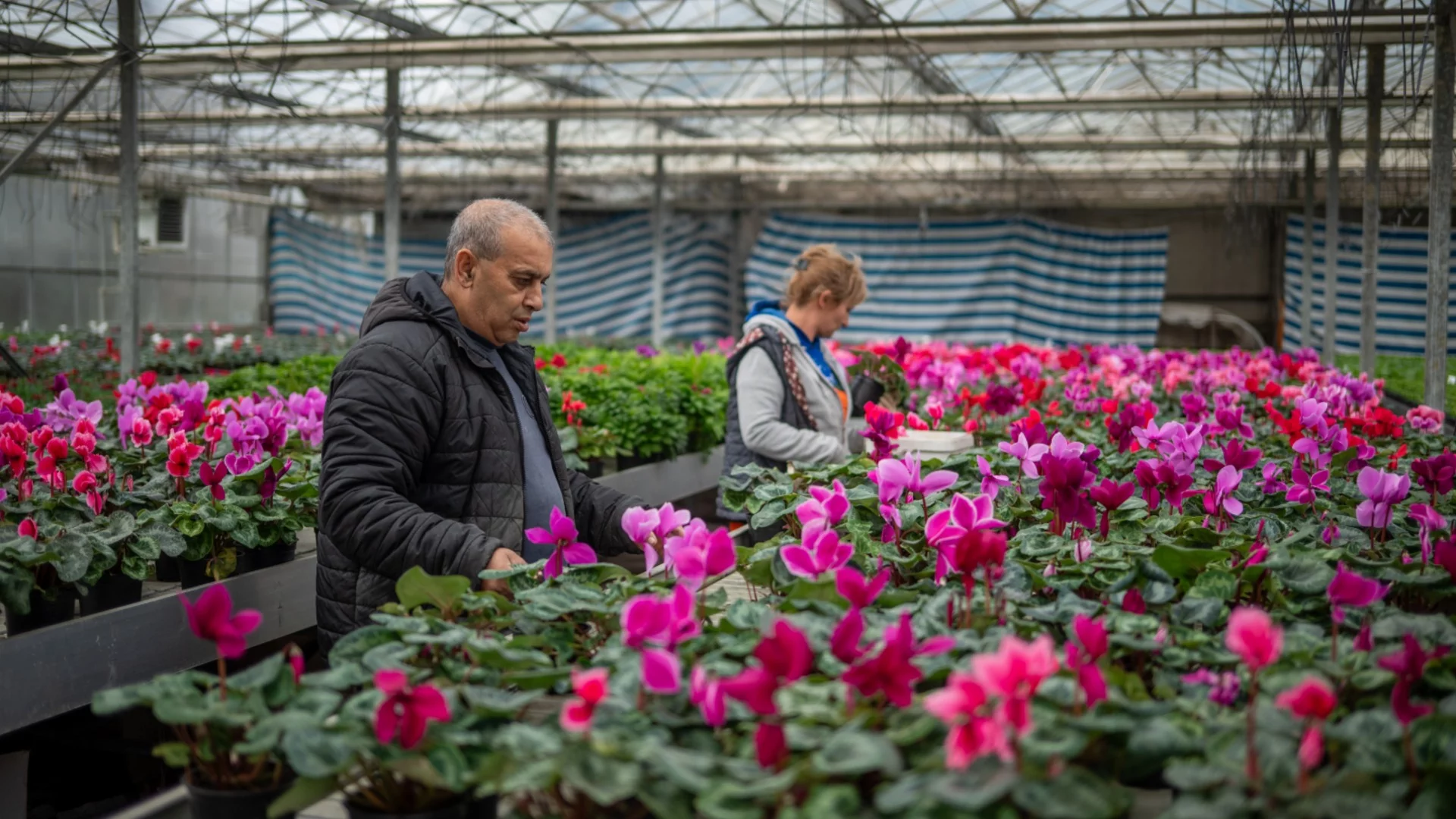 Цветята като предизвикателство и бизнес: Историята на „Флора цвет“ и подкрепата на „ДПМ Челопеч“