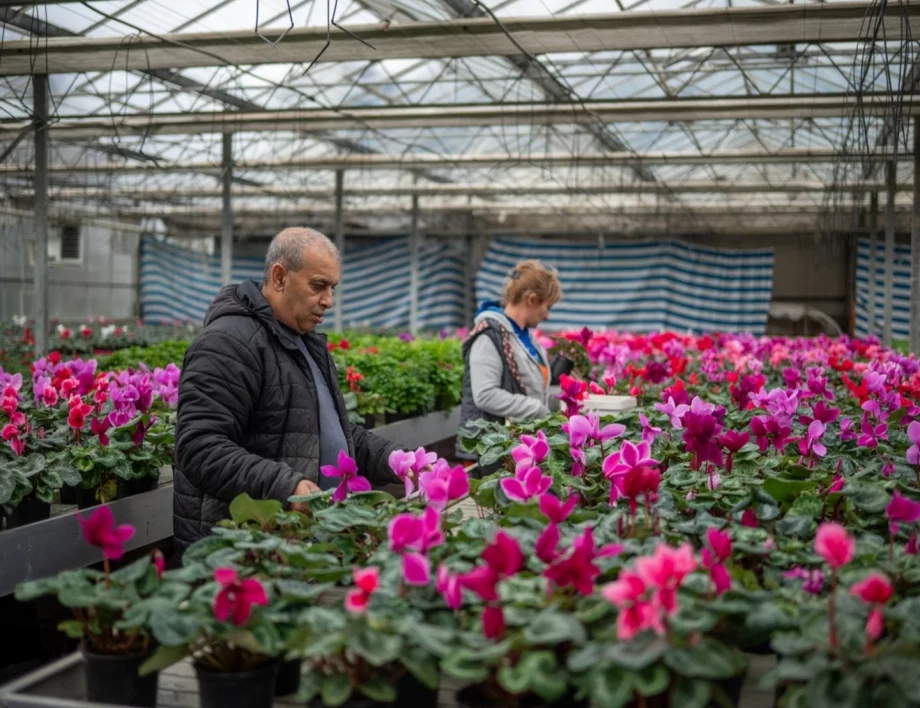 Цветята като предизвикателство и бизнес: Историята на „Флора цвет“ и подкрепата на „ДПМ Челопеч“