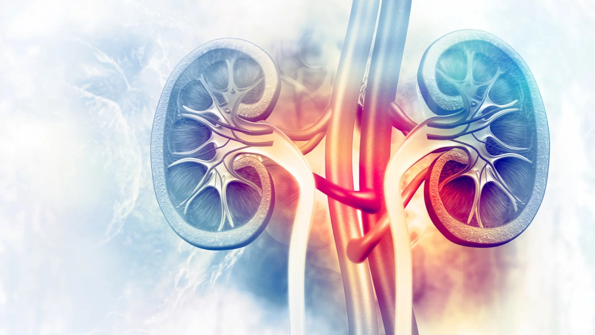 Напитките, които задръстват бъбреците ни, без дори да подозираме