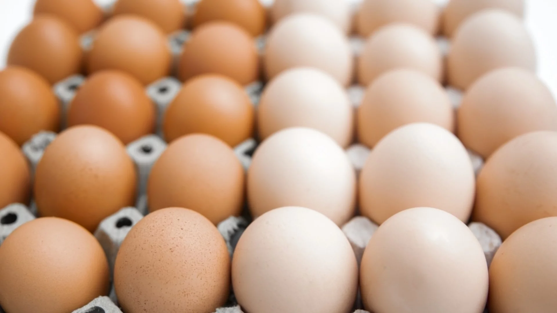 Държава от Балканите изтегля от пазара яйца със салмонела