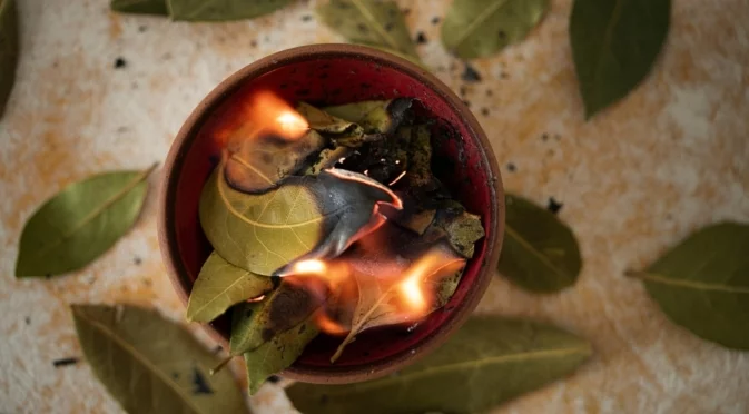 Мощен новогодишен ритуал с дафинов лист за пречистване и освобождаване от старото