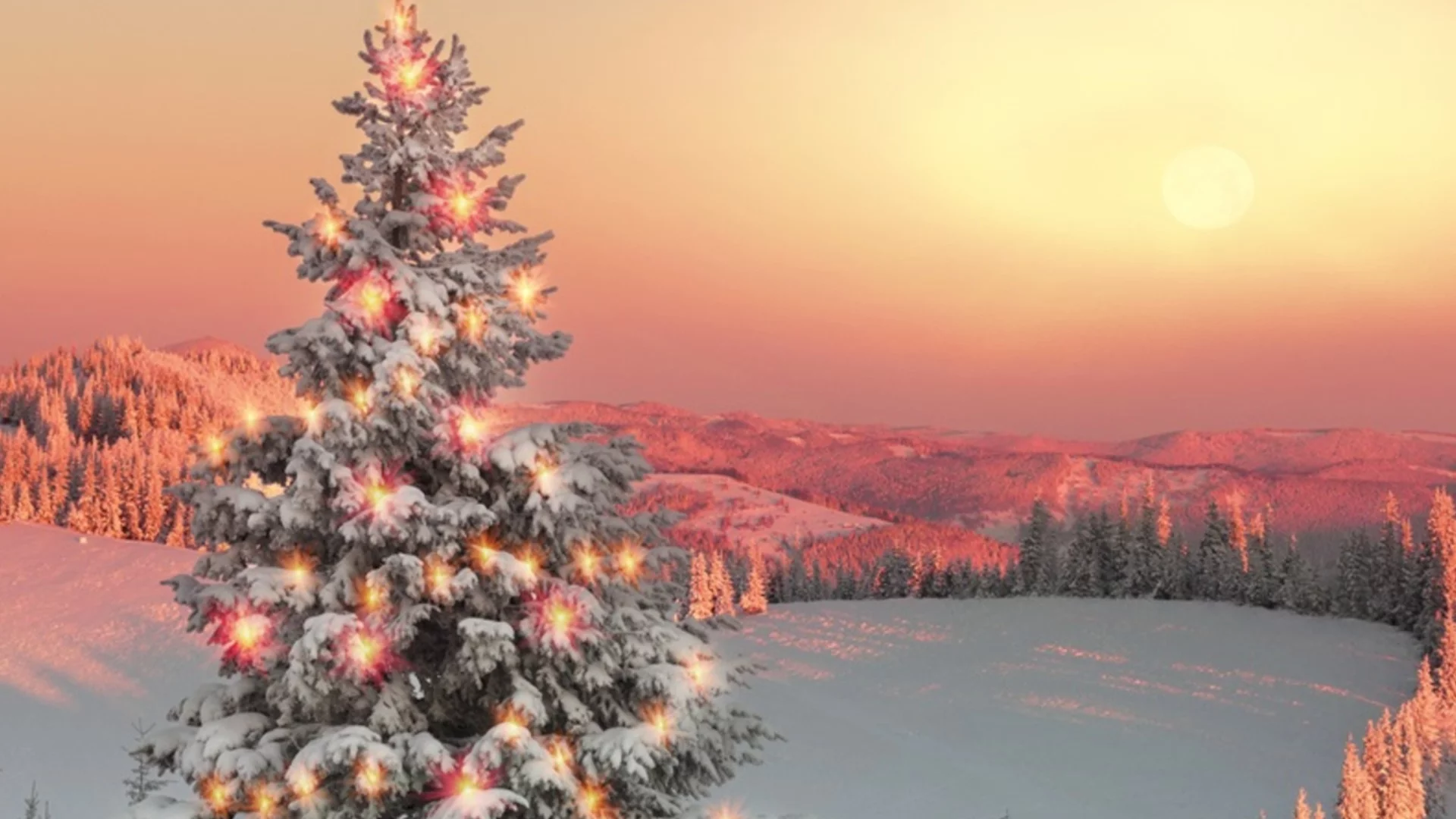 Зимно слънцестоене на 21 декември: Какво трябва и не трябва да се прави?