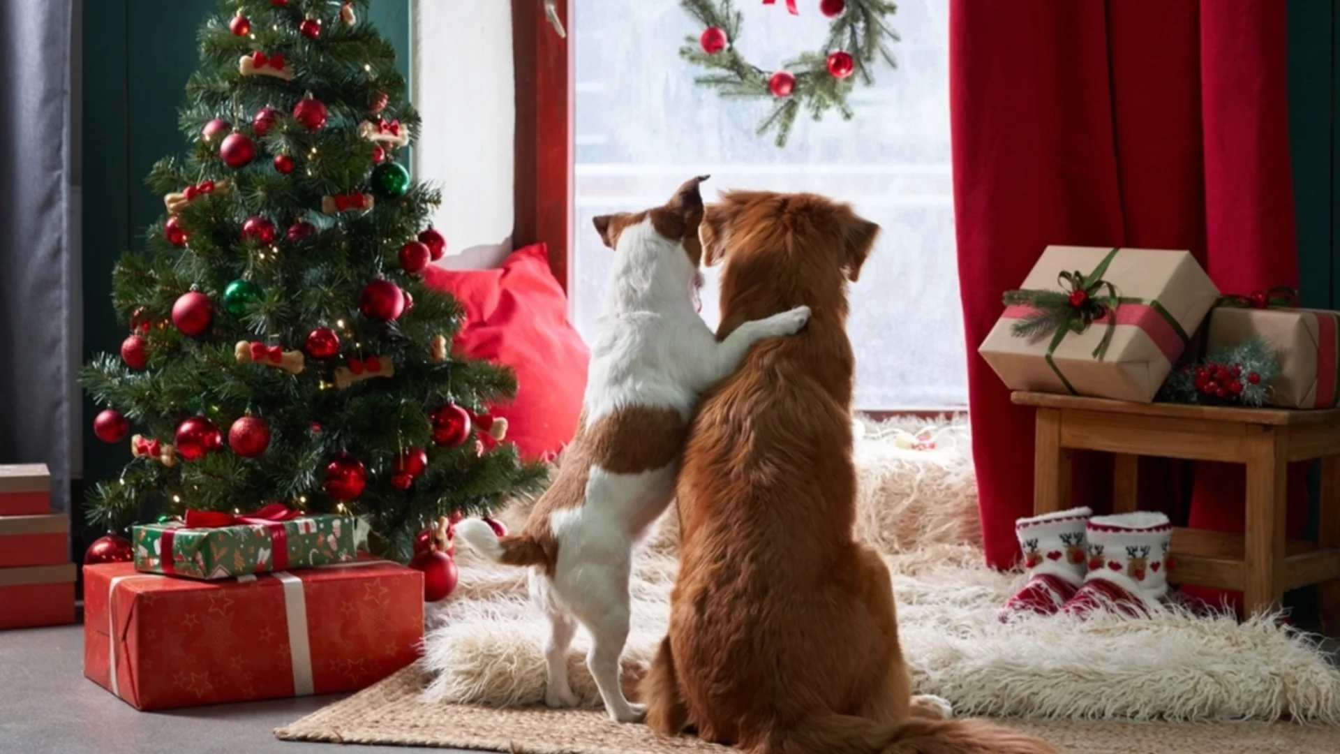 Седмична прогноза за времето за 22-28 декември 2025 г.