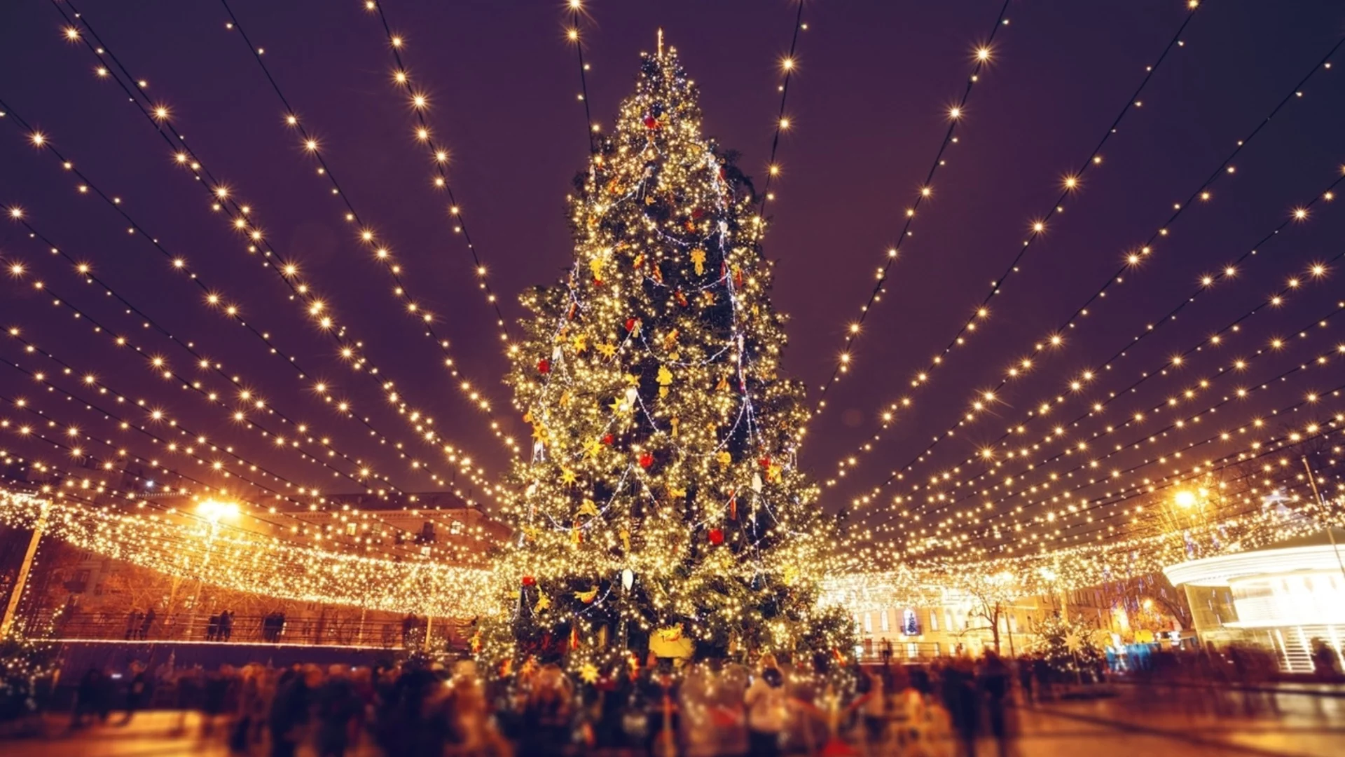 Парк „Туристическа градина“ в Самоков се превърна в истинска ледена приказка (ВИДЕО)