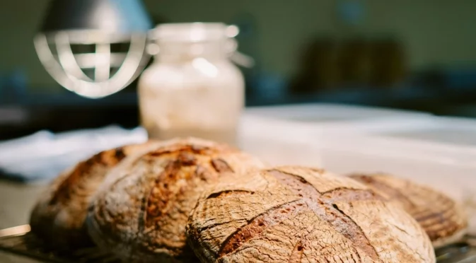 Kaufland улеснява подготовката за празниците с коледна погача на изгодна цена