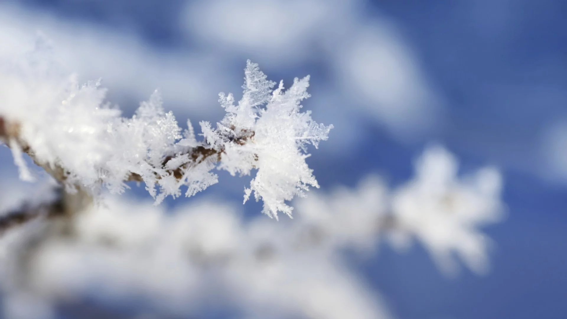 Рядка гледка: Сняг покри Саудитска Арабия (ВИДЕО)