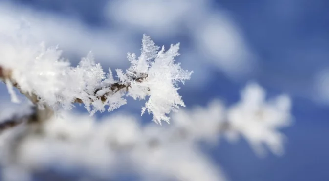 Рядка гледка: Сняг покри Саудитска Арабия (ВИДЕО)