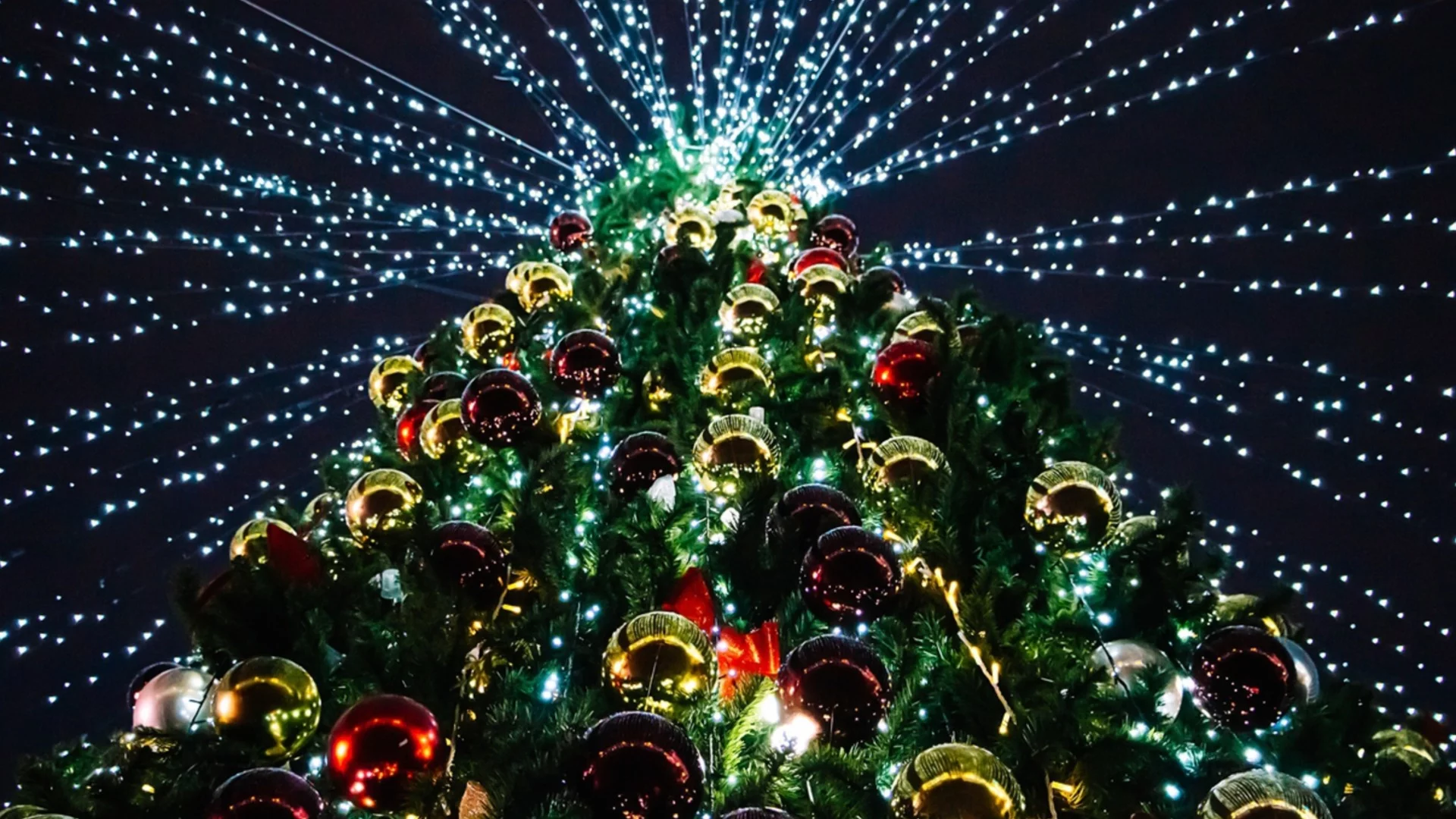 Във вторник: Идващите пари ще направят празниците още по-светли за Рак, Скорпион + още 2 зодии