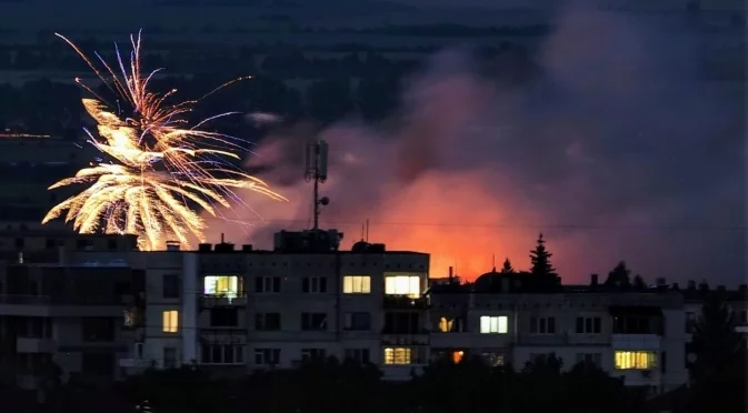 Природозащитници предупреждават: Фойерверките и пиратките причиняват стрес на животните