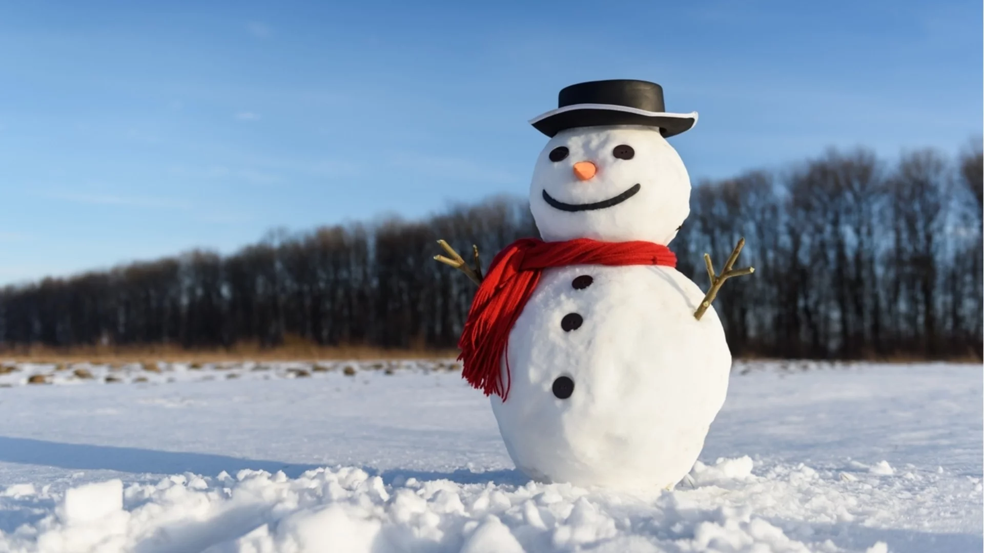 След дълго чудене проф. Рачев сложи точка и каза с какво време ще посрещнем празниците