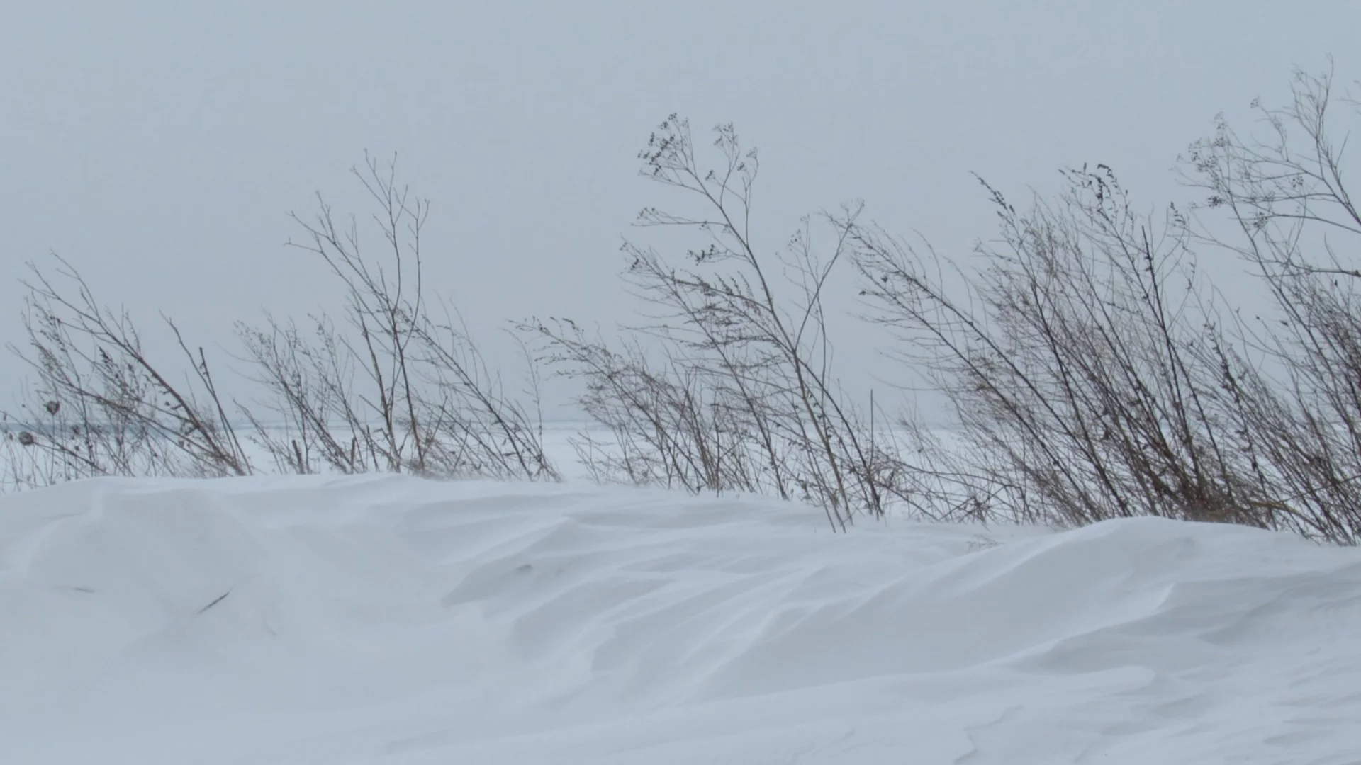 Минус 56 градуса с виелица: В Якутия чакат да стане и по-студено (ВИДЕО)